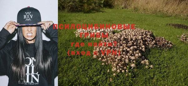 a pvp Беломорск
