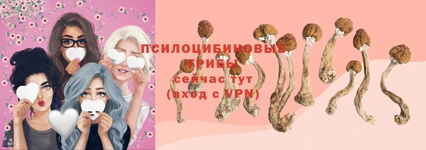синтетический гашиш Богородск