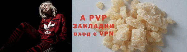 ПСИЛОЦИБИНОВЫЕ ГРИБЫ Белокуриха