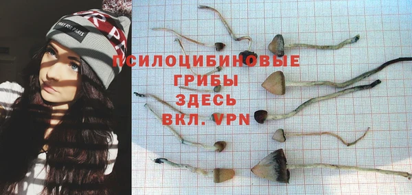 a pvp Беломорск