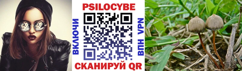 маркетплейс формула мега ONION Берёзовский Псилоцибиновые грибы мицелий